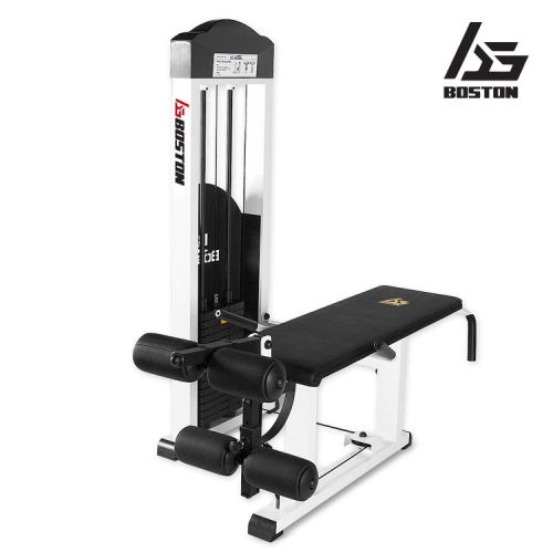 레그컬&익스텐션